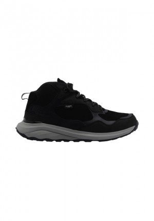 Black Jack Wolfskin Camp Fever Texapore Mid Men Outdoor Shoes | 28997711