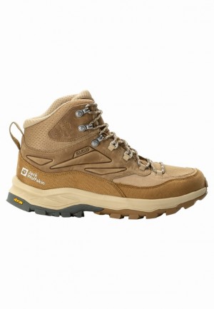 Brown Jack Wolfskin Cyrox Texapore Mid Men Hiking Shoes | 37351755