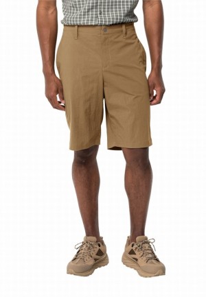 Brown Jack Wolfskin Desert Men Shorts | 69968616