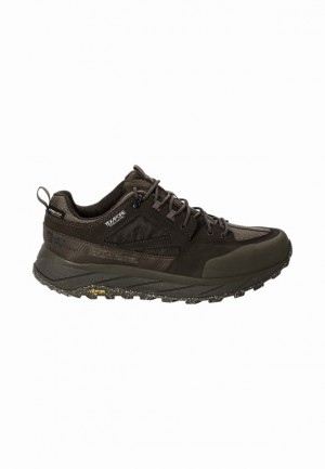 Brown Jack Wolfskin Terraquest Texapore Low Men Hiking Shoes | 59429401