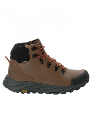 Brown Jack Wolfskin Terraquest X Texapore Mid Men Hiking Shoes | 45888885