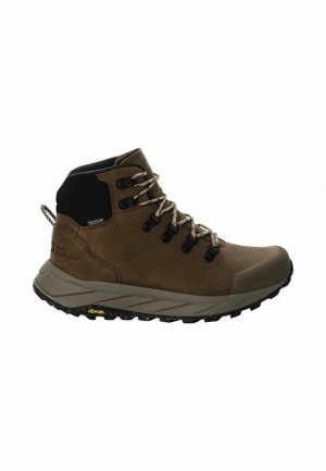 Brown Jack Wolfskin Terraquest X Texapore Mid Women Hiking Shoes | 88110123