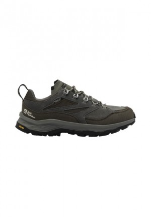 Coffee Jack Wolfskin Cyrox Texapore Low Men Hiking Shoes | 23627586