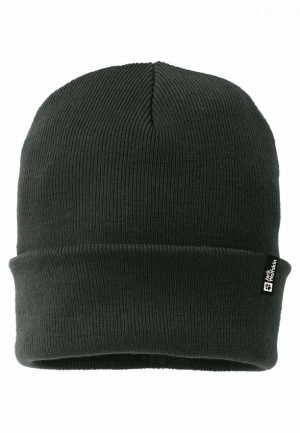 Green Jack Wolfskin Rib Men Beanie | 10846172