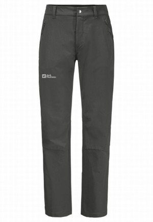 Grey Jack Wolfskin Activate Xt Men Hiking Pants | 33897429