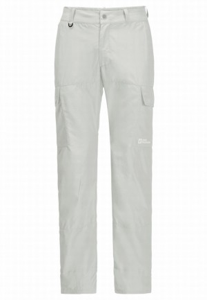 Grey Jack Wolfskin Barrier Pant Men Hiking Pants | 26225969