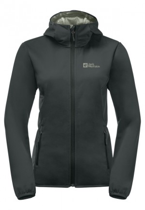 Grey Jack Wolfskin Bornberg Hoody Women Jackets | 51750572