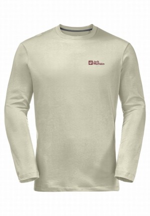 Grey Jack Wolfskin Essential Longsleeve Men T Shirts | 53818046