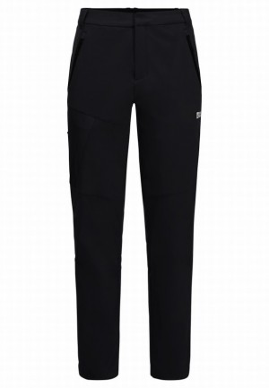 Grey Jack Wolfskin Glastal Winter Men Pants | 39658987