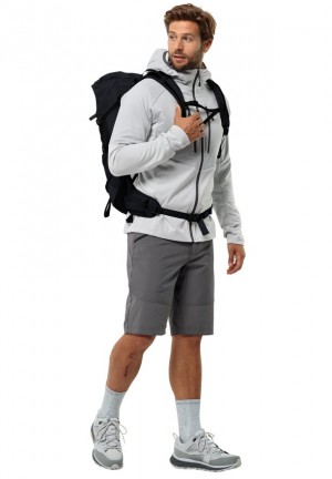 Grey Jack Wolfskin Hiking Alpine Men Shorts | 91630502