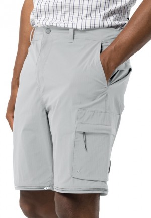 Grey Jack Wolfskin Wanderthirst Zip Men Pants | 46689839