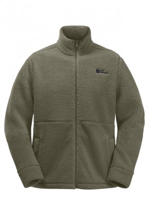 Khaki Jack Wolfskin Felslicht Men Fleece Jackets | 45522131