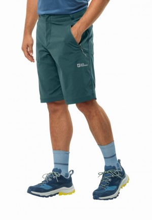 Turquoise Jack Wolfskin Glastal Men Shorts | 57347733