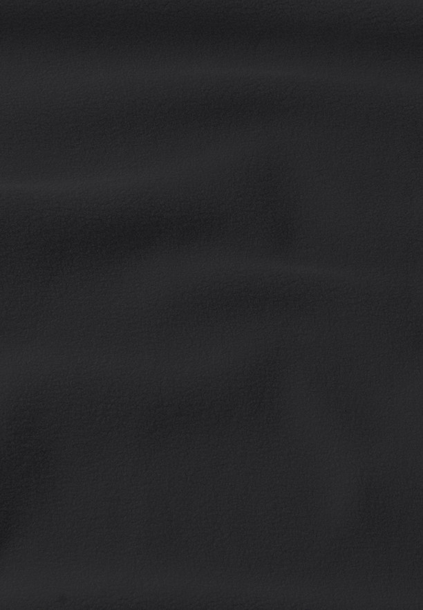 Black Jack Wolfskin Baiselberg Hooded Fz Men Fleece Jackets | 18671526