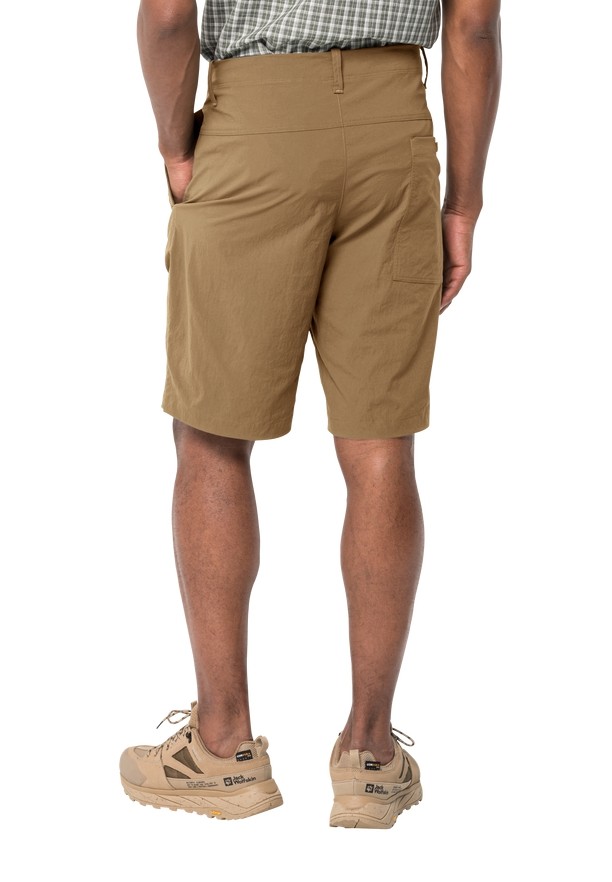 Brown Jack Wolfskin Desert Men Shorts | 69968616