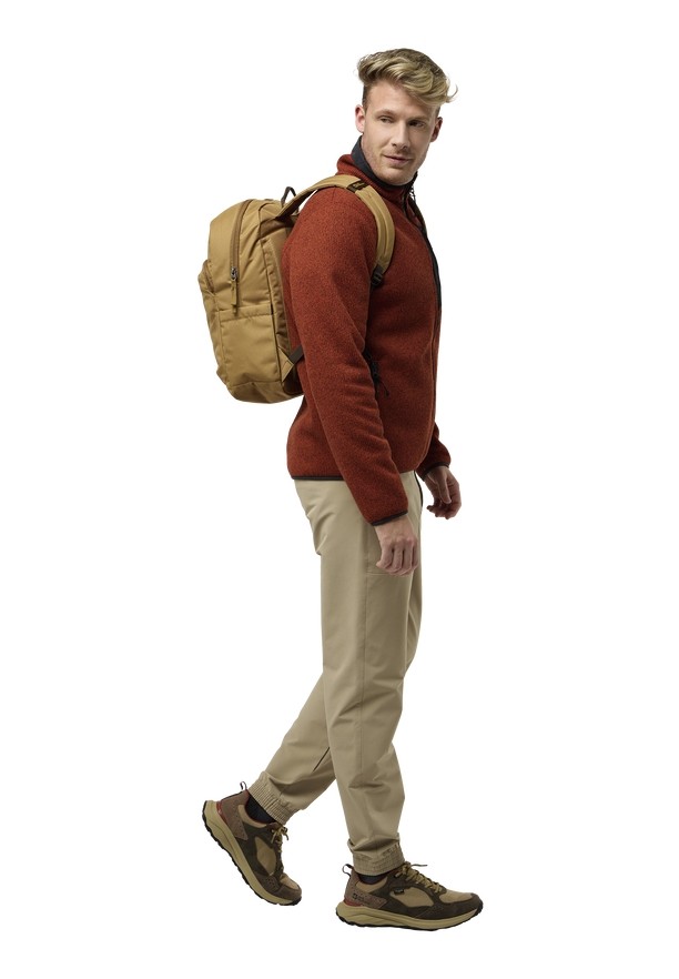 Brown Jack Wolfskin Taubenberg Men Daypack | 80290087