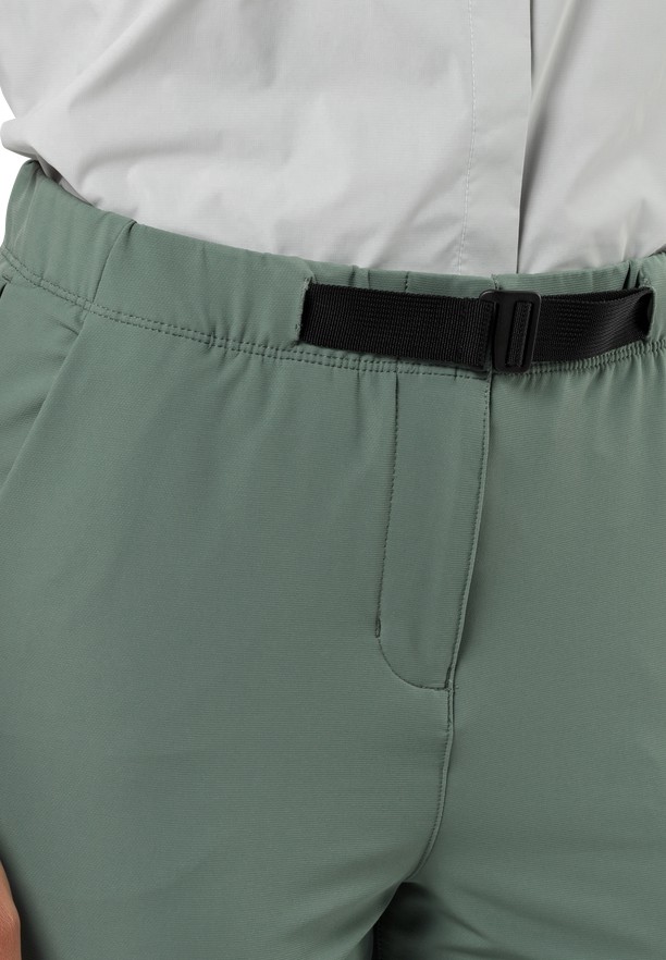 Green Jack Wolfskin Wandermood Women Hiking Pants | 24889127