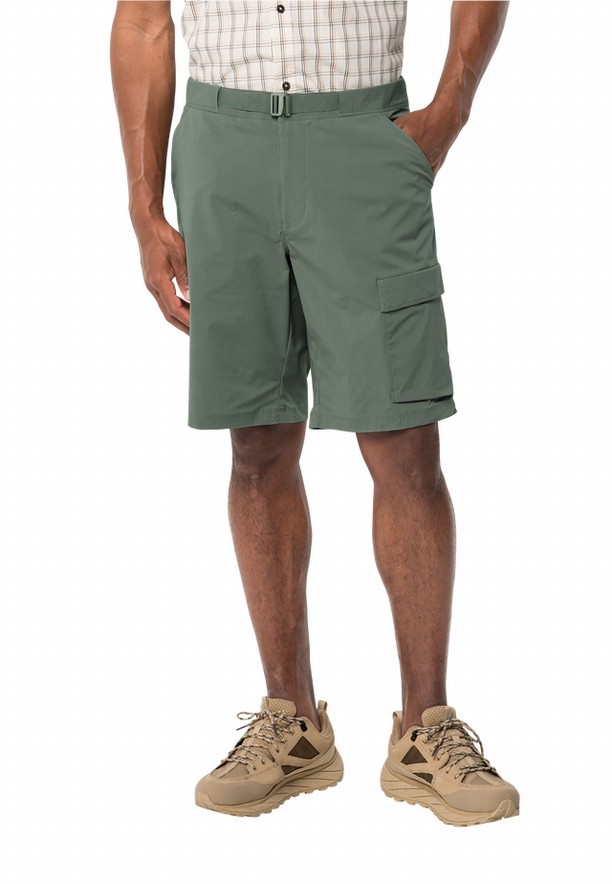 Green Jack Wolfskin Wanderthirst Men Shorts | 61312733