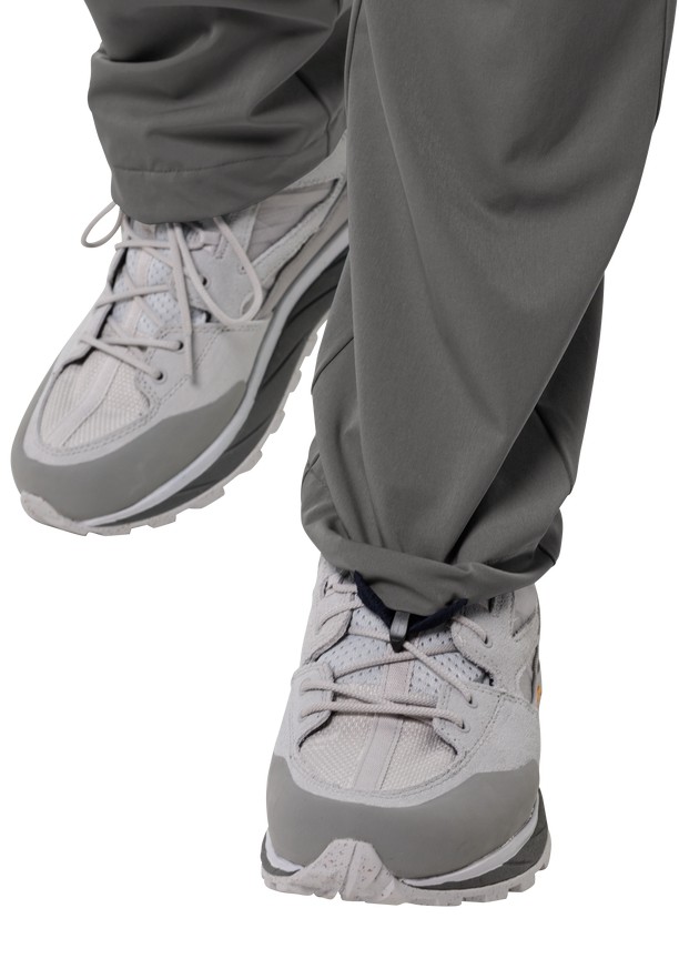Grey Jack Wolfskin Alpine Men Hiking Pants | 22339099