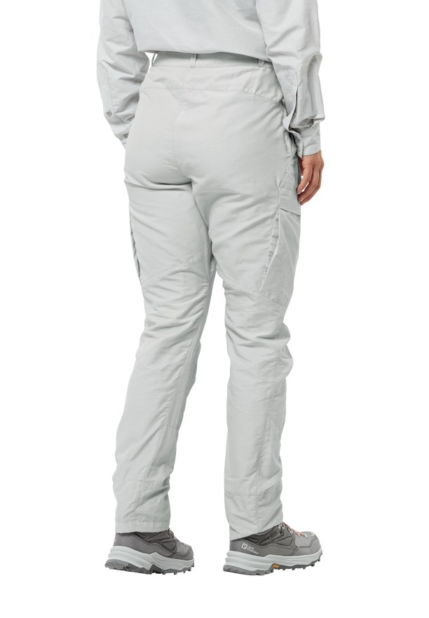Grey Jack Wolfskin Barrier Women Pants | 35802794