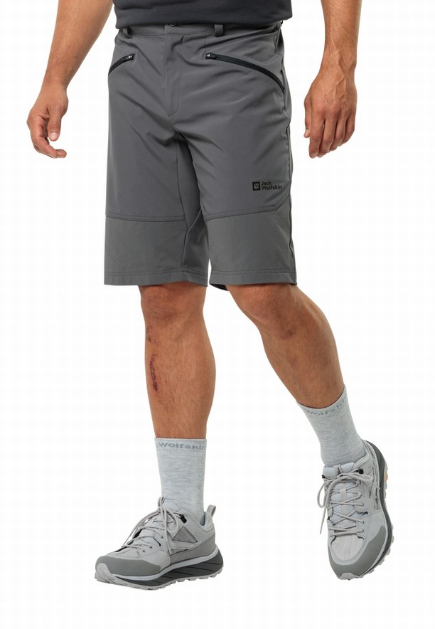 Grey Jack Wolfskin Hiking Alpine Men Shorts | 91630502
