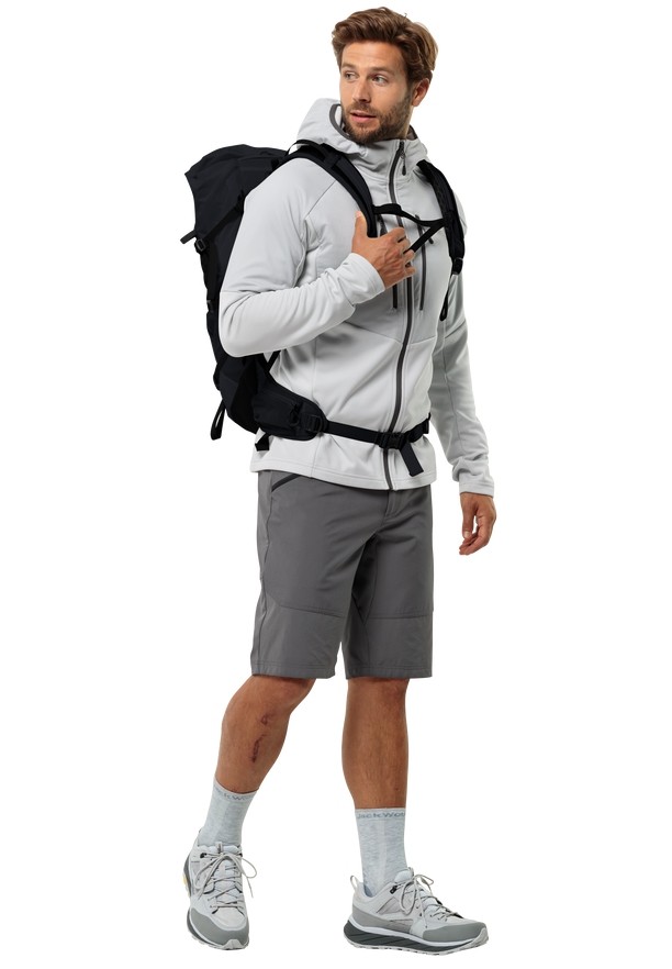 Grey Jack Wolfskin Hiking Alpine Men Shorts | 91630502
