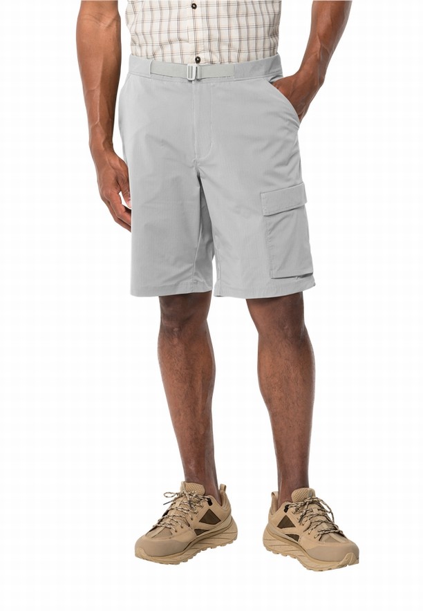 Grey Jack Wolfskin Wanderthirst Men Shorts | 77672613