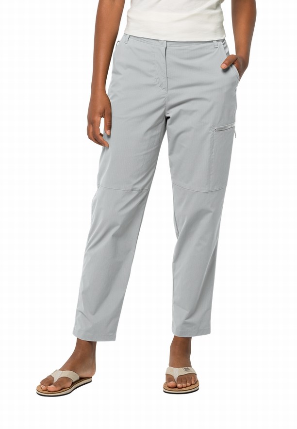 Grey Jack Wolfskin Wanderthirst Women Pants | 61309711