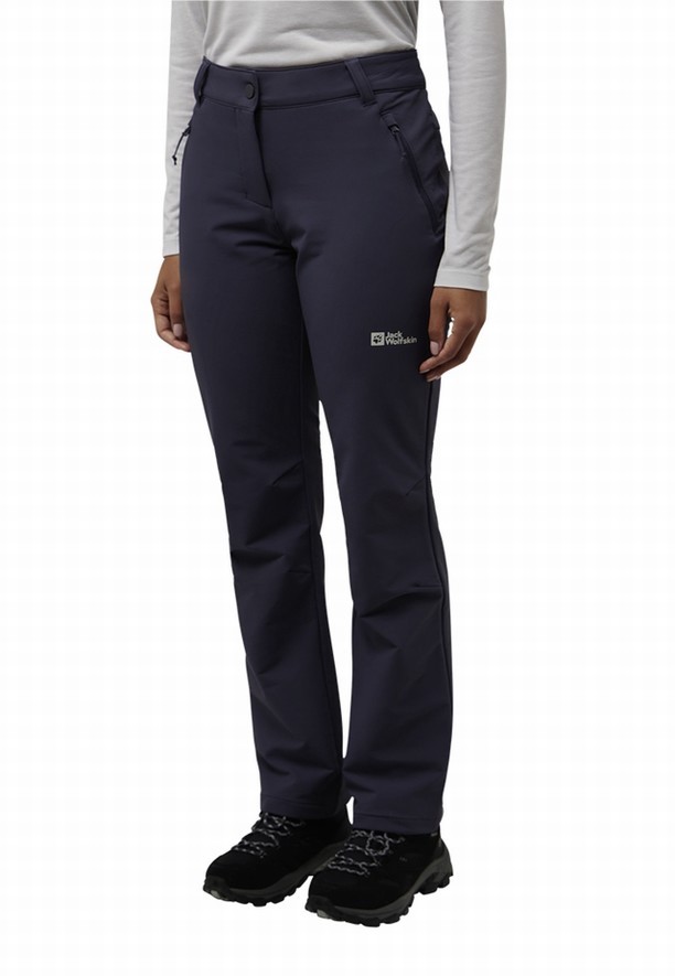 Navy Jack Wolfskin Activate Thermic Women Hiking Pants | 61418851