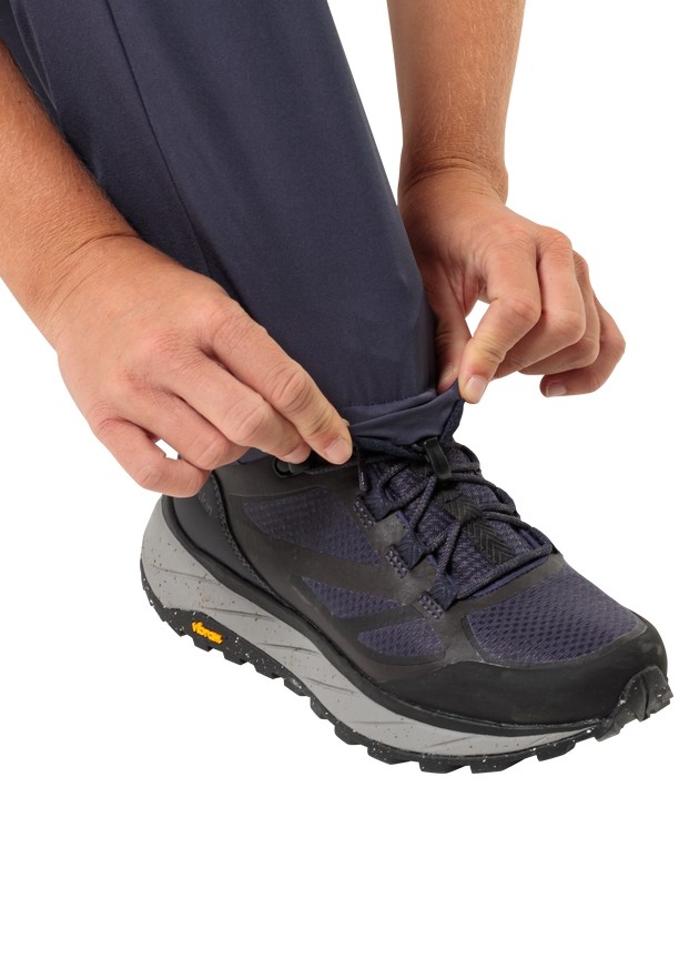 Navy Jack Wolfskin Alpine Women Hiking Pants | 91086134