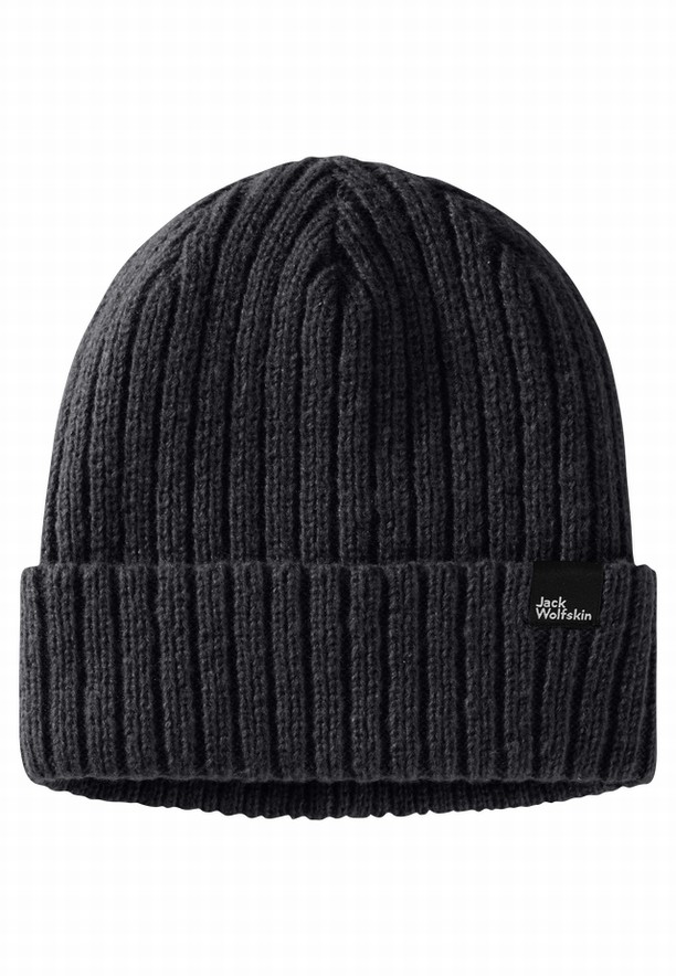 Navy Jack Wolfskin Cushy Men Beanie | 16671906