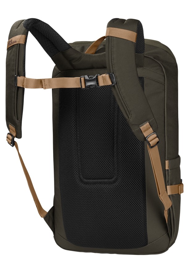 Olive Jack Wolfskin Dachsberg Men Daypack | 60488027