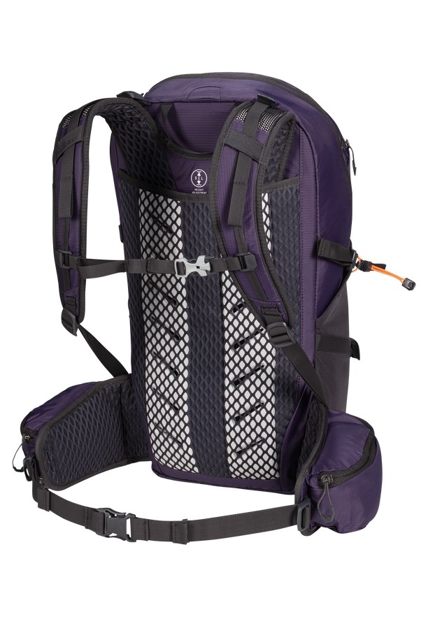 Purple Jack Wolfskin Cyrox Shape 25 S-l Men Hiking Backpack | 91147519