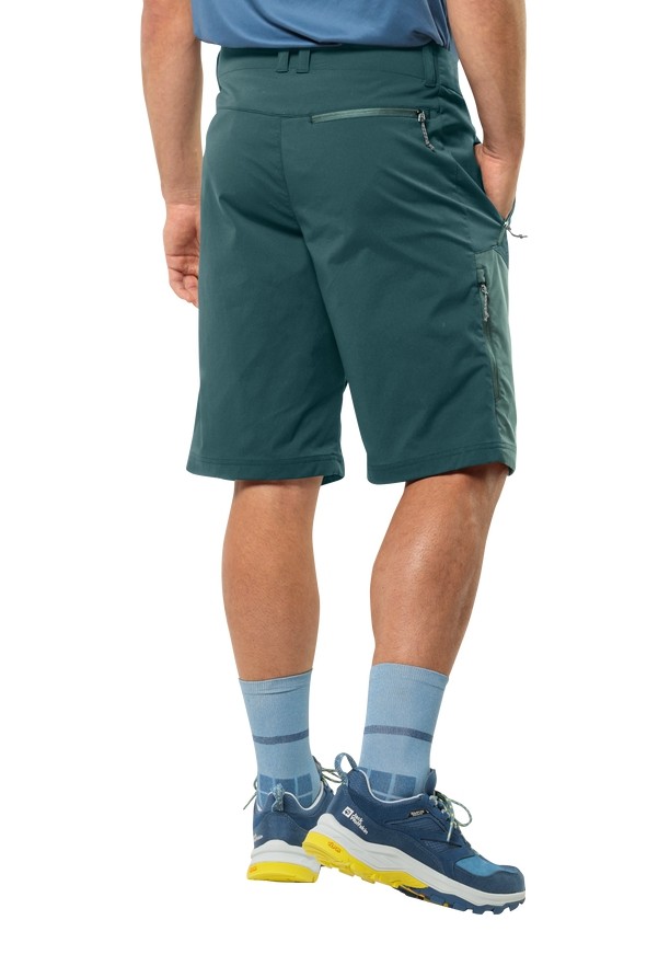 Turquoise Jack Wolfskin Glastal Men Shorts | 57347733