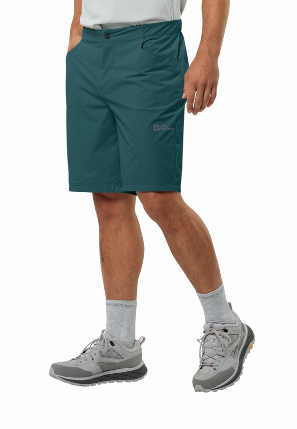 Turquoise Jack Wolfskin Gravex Men Shorts | 54898428