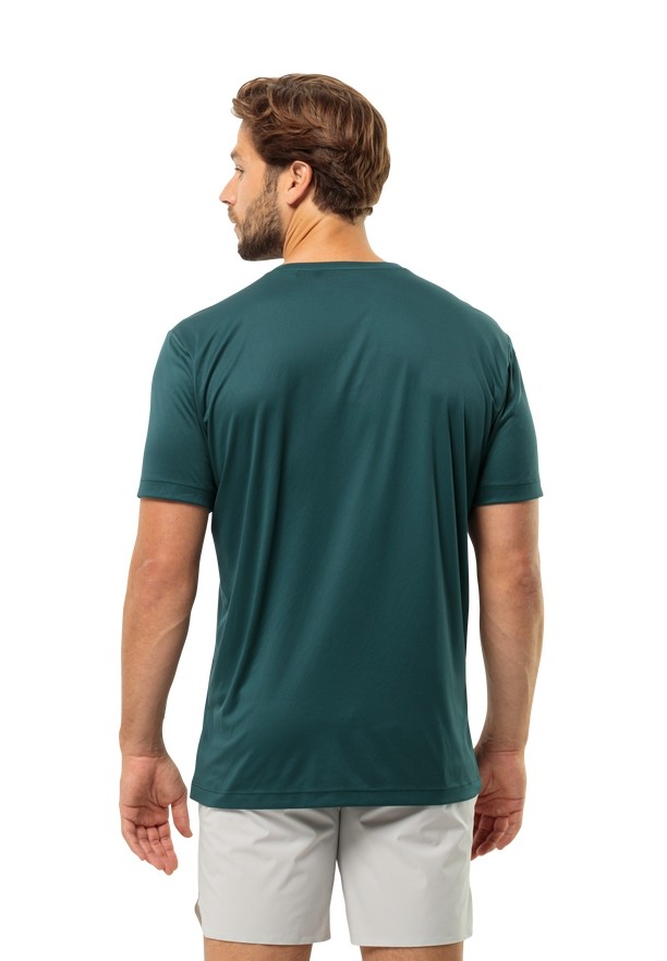 Turquoise Jack Wolfskin Peak Graphic Men T Shirts | 93249798