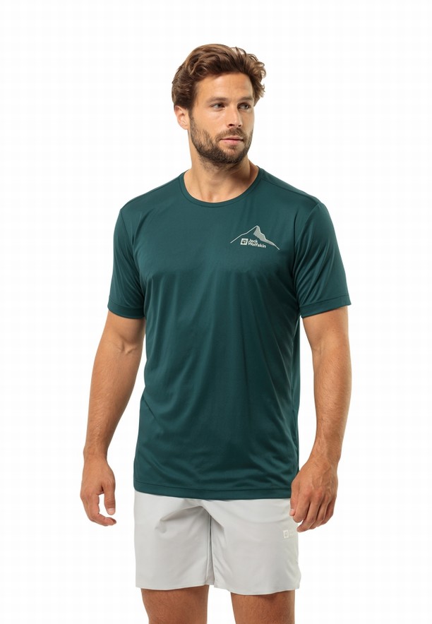 Turquoise Jack Wolfskin Peak Graphic Men T Shirts | 93249798